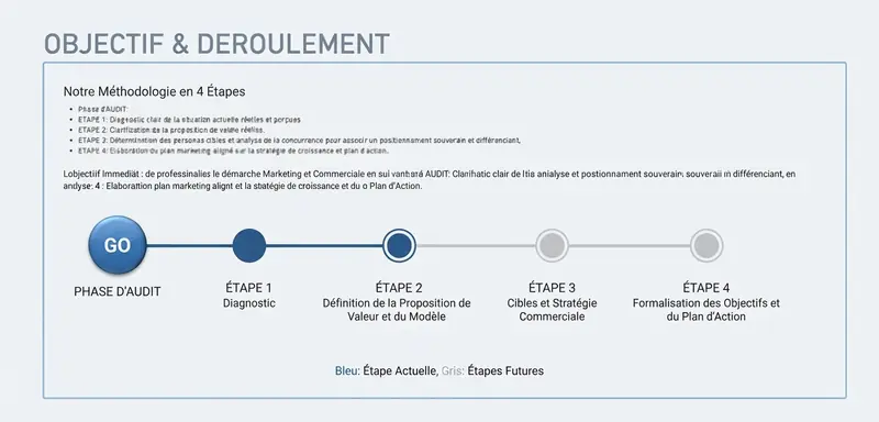 Plan d'action, conseil marketing